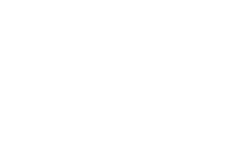 Weboskopie